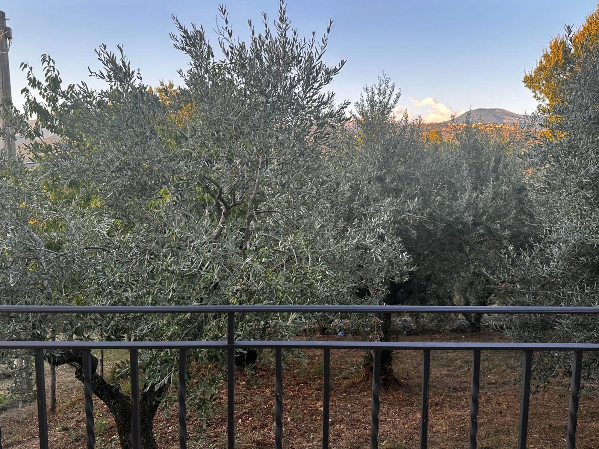 Апартаменты La Casa In Collina Veroli Экстерьер фото
